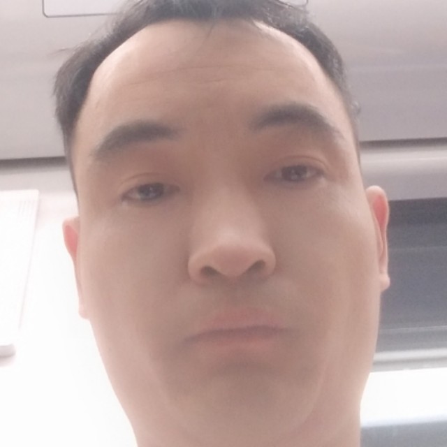 猎豹快乐的照片