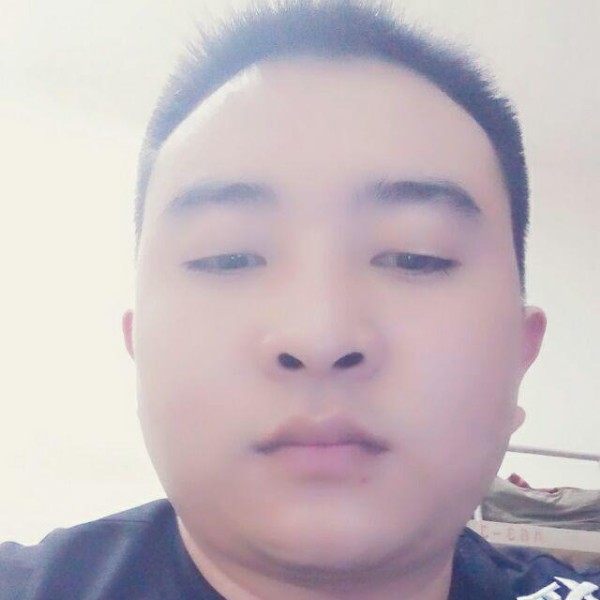 虚心红牛的照片