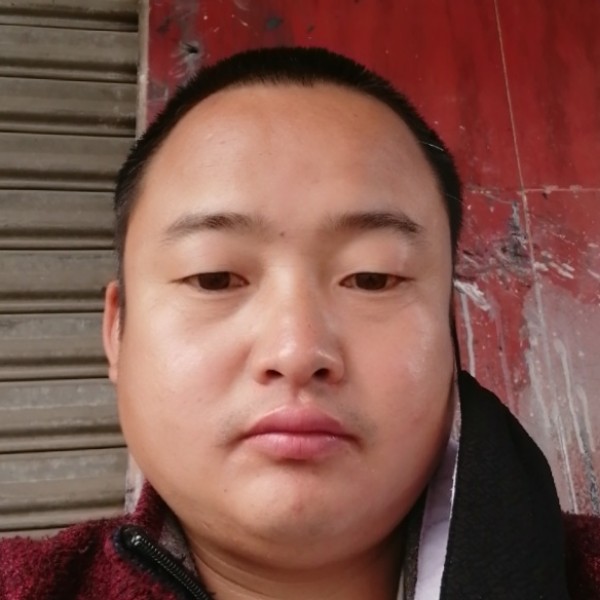 轮回之情的照片