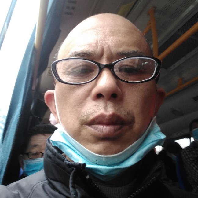 大象拾忆迷人的照片