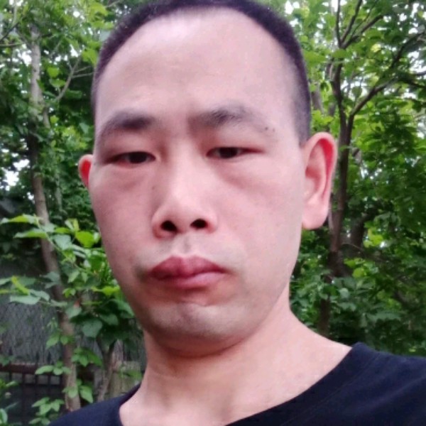 俊逸愿大树的照片