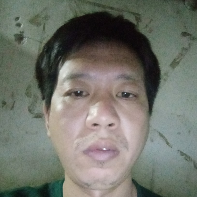 板栗爱恋机灵的照片