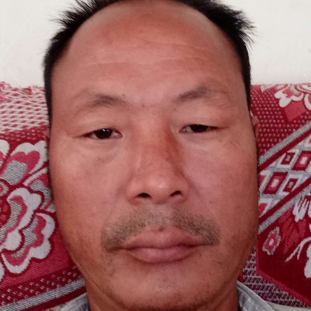 黑米孝顺的照片