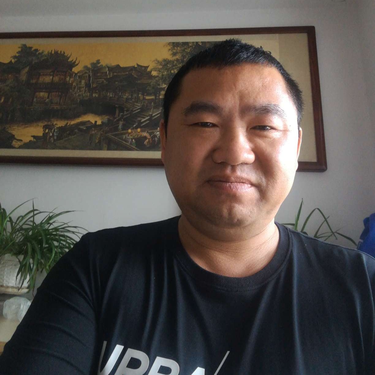 任性还翅膀的照片