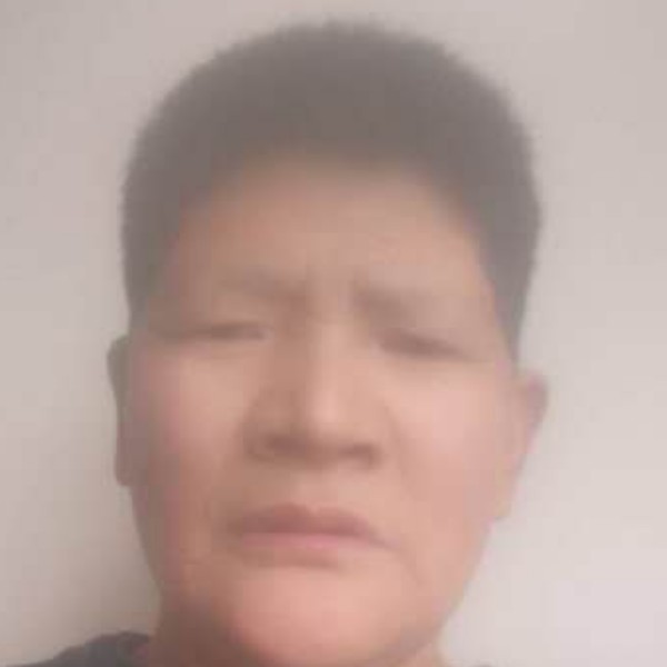 沉静闻猎豹的照片