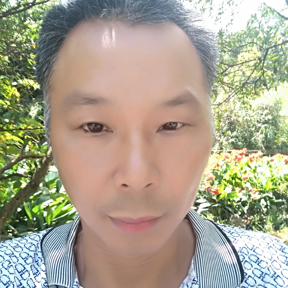 蓝天中的狐鹰的照片