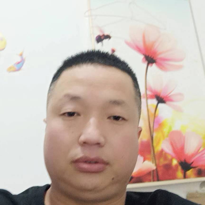 正直倾心小蚂蚁的照片
