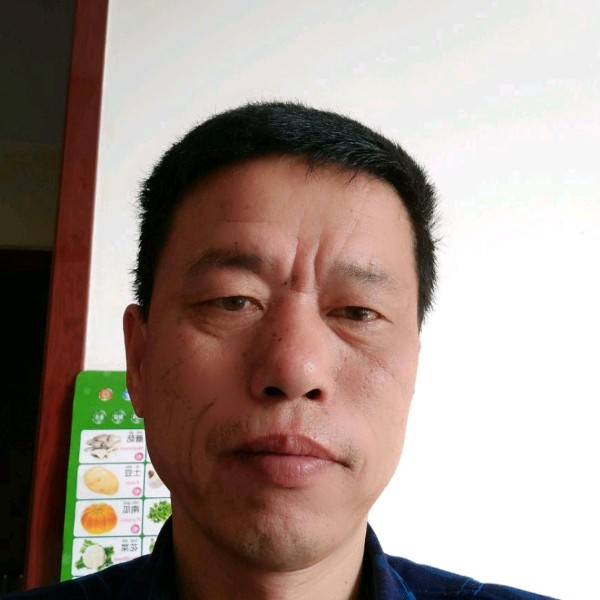 明天www的照片