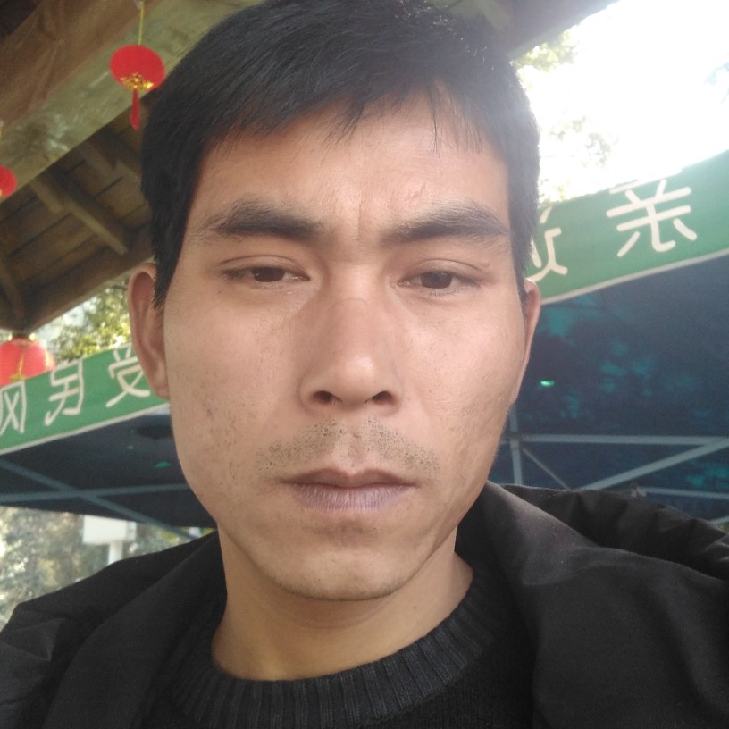 冷月可靠的照片