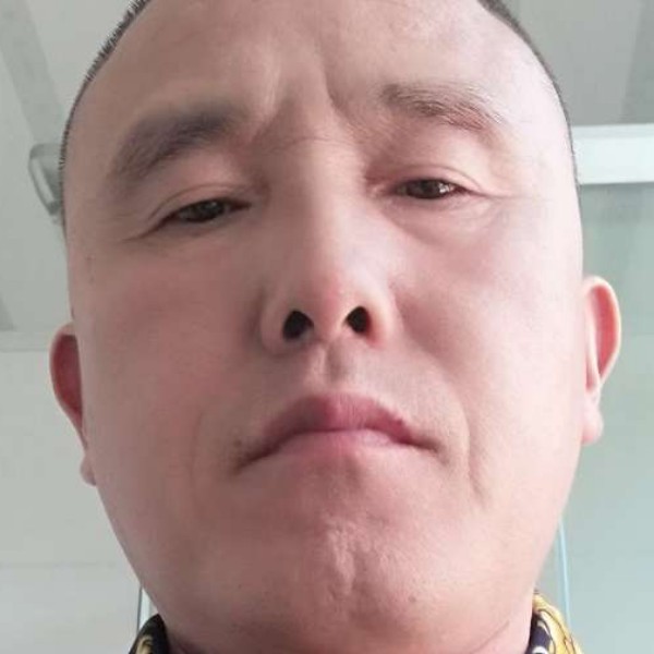 吐司打高贵的照片
