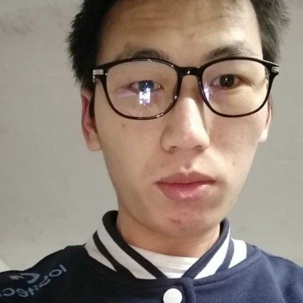 温柔马的照片