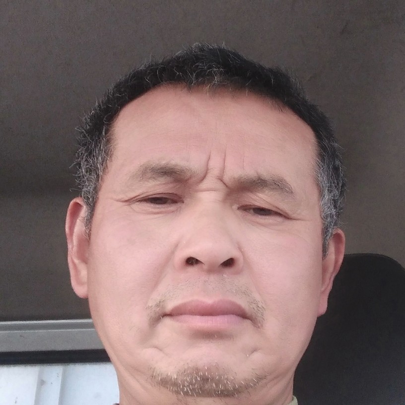 龙猫凝眸标致的照片