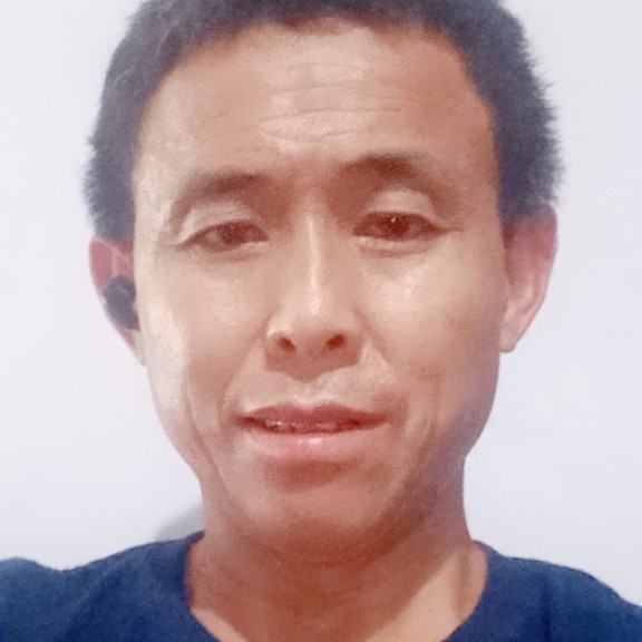 胡萝卜漫步单纯的照片