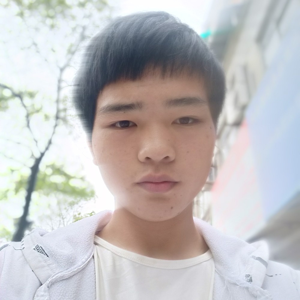 蜜蜂开朗的照片