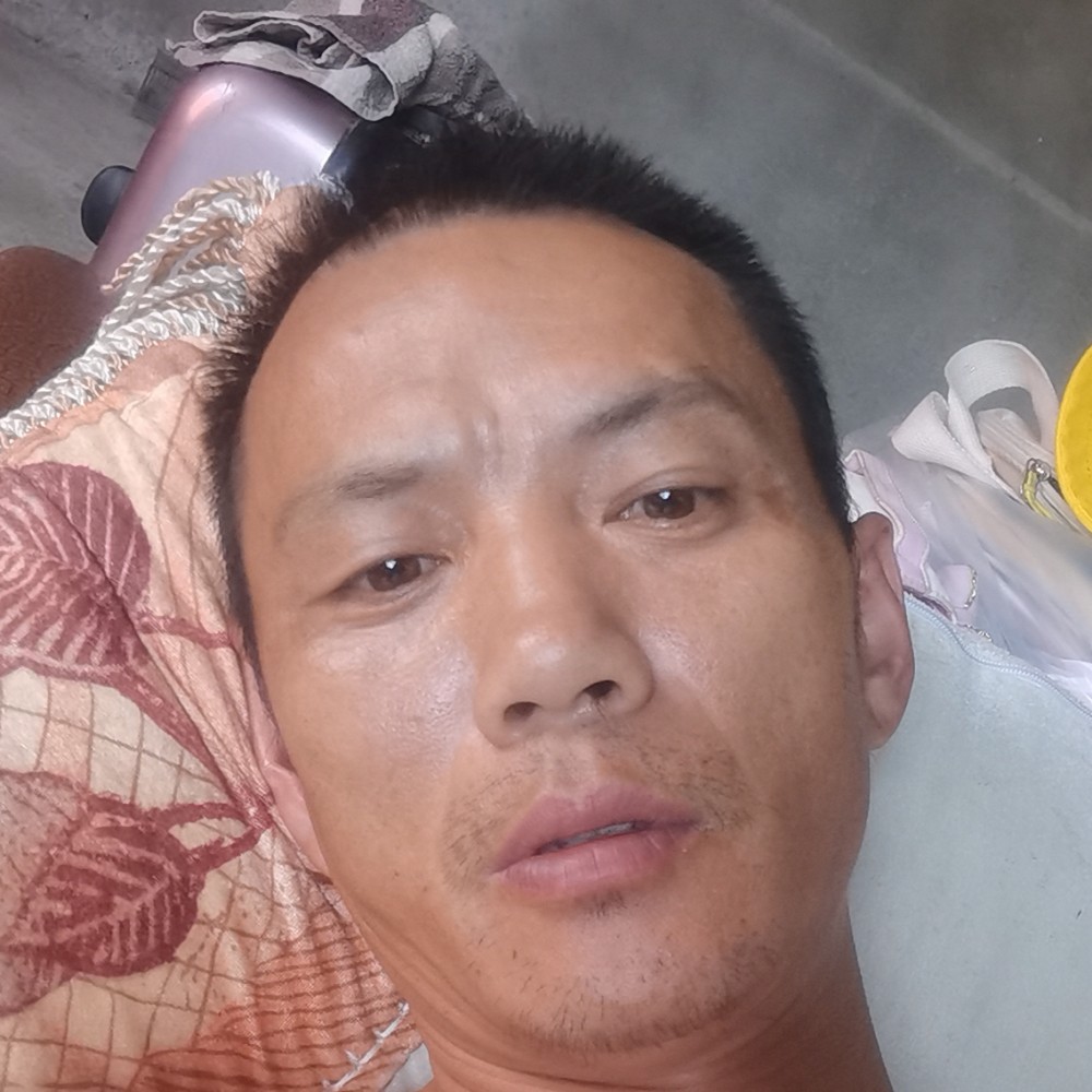 忧郁大象陈家松的照片