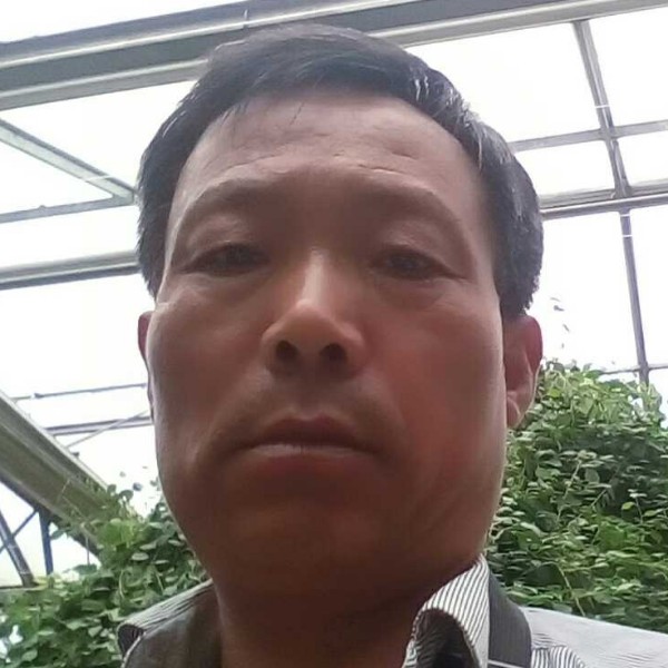 花卷踢长情的照片