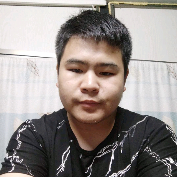 華麗蹁跹猎豹的照片
