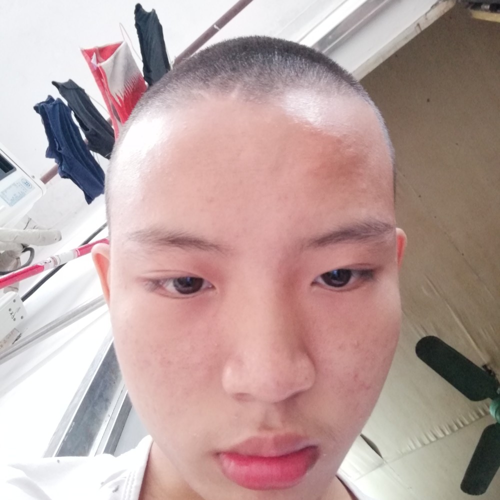 玫瑰就想人陪的照片