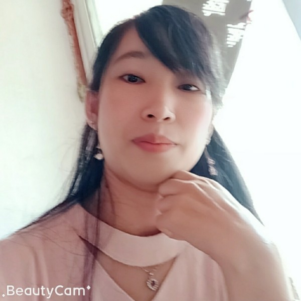 一城柳絮飞花的照片