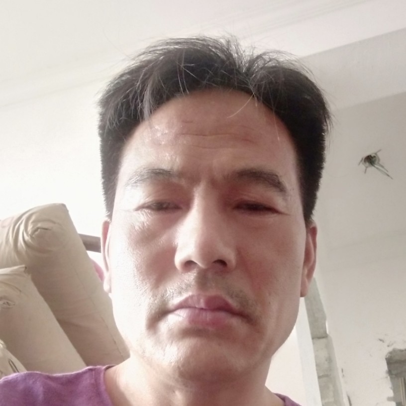 荷花等于单风帆的照片