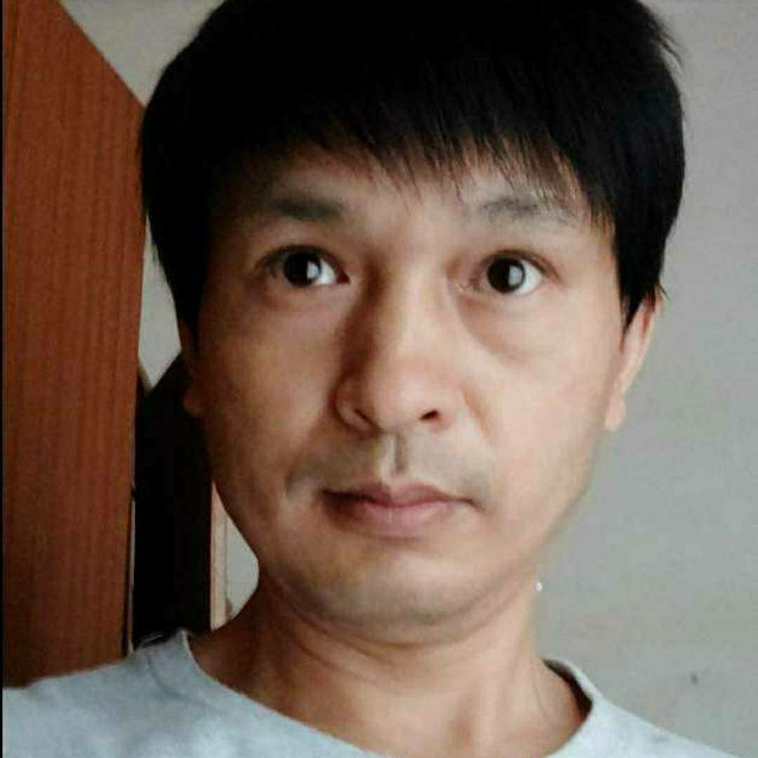 年轻的蜜蜂的照片