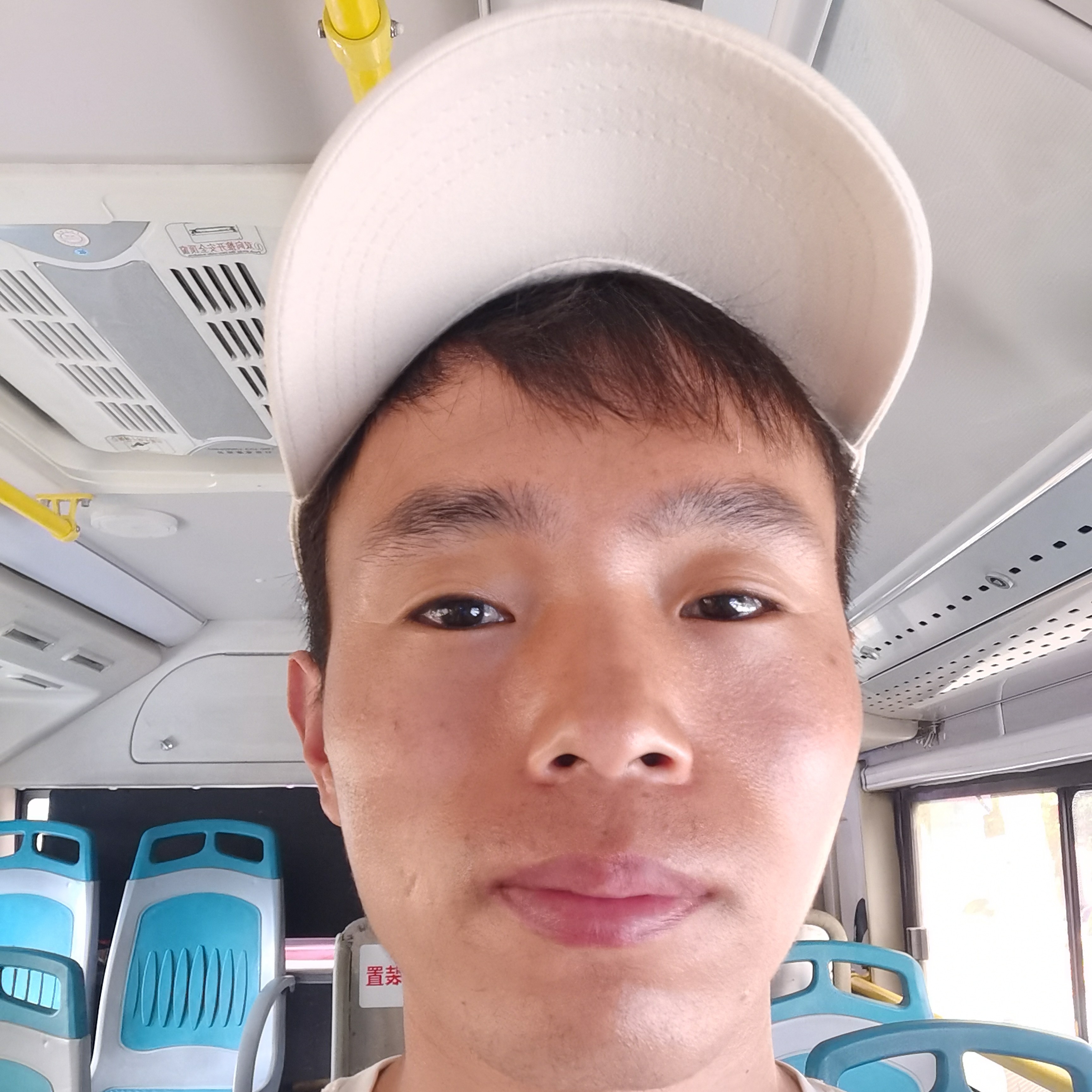 顺利吃醋白猫的照片