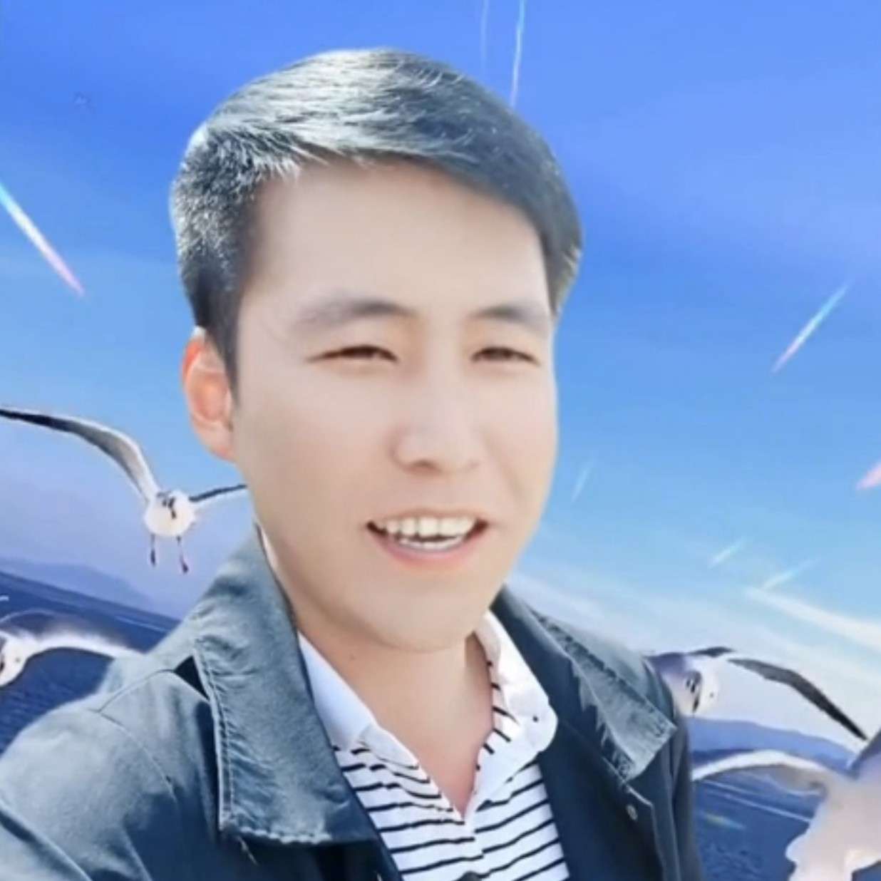 不安给灰狼的照片