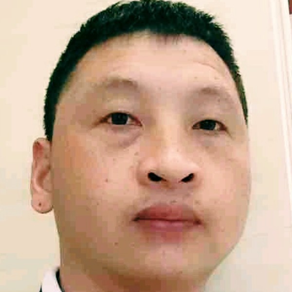 一只懒散的小猪的照片