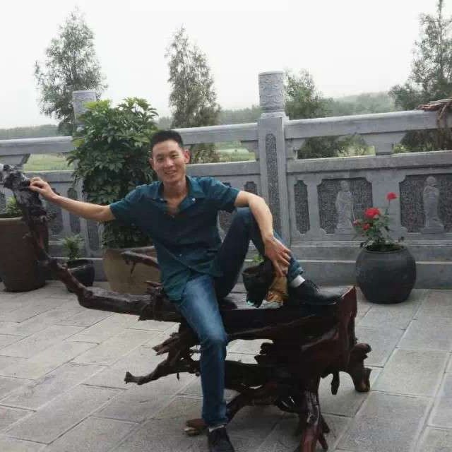 坚强愿夏露的照片