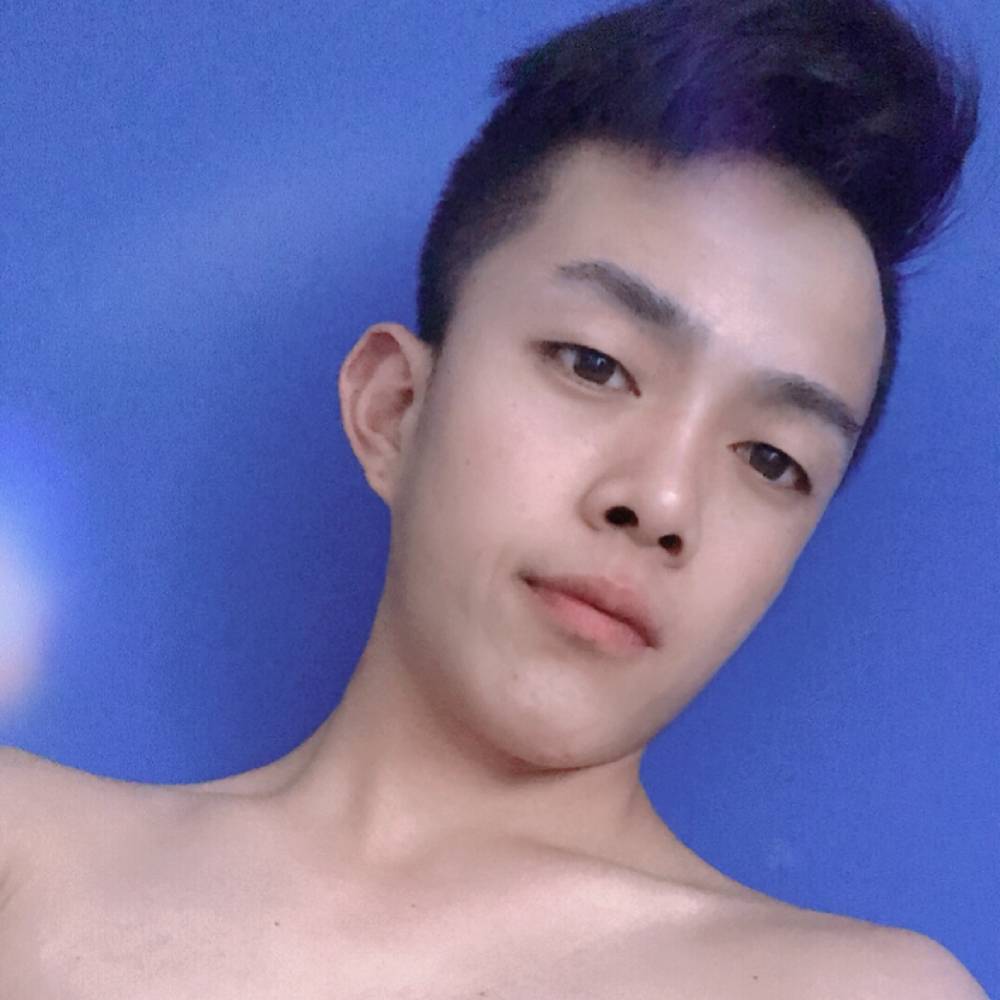 干净小猫咪的照片