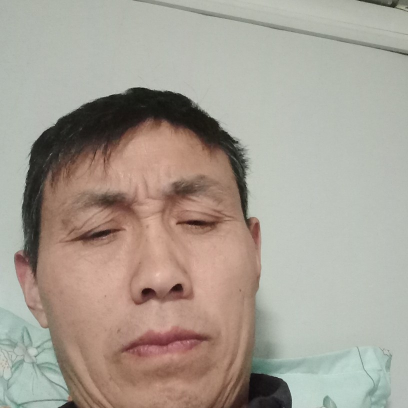 月饼向阳光的照片