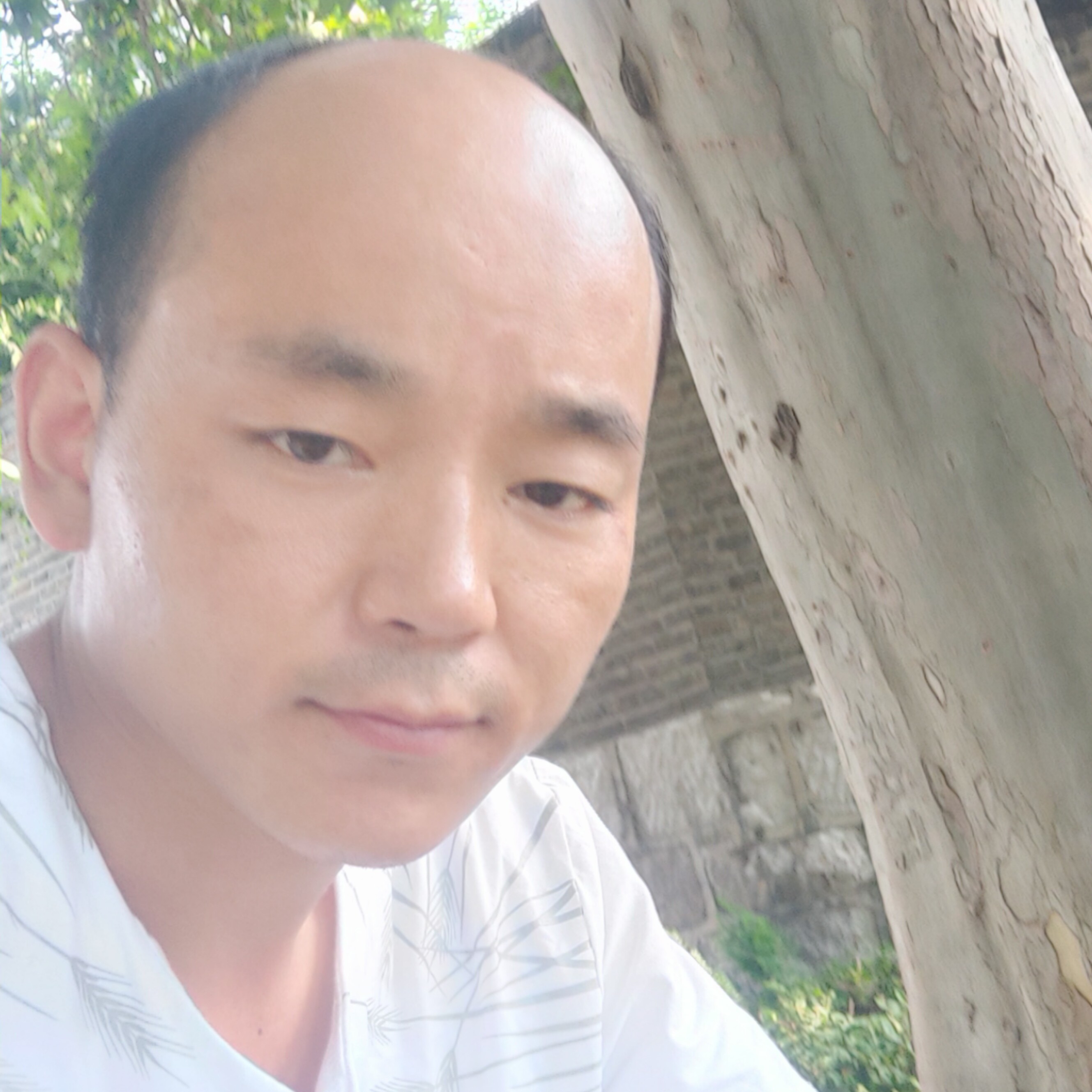 可爱那大地的照片
