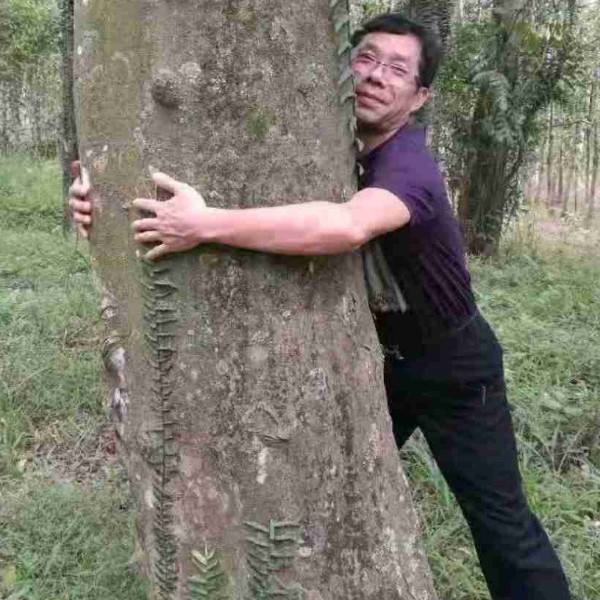 刻苦等于丝袜的照片