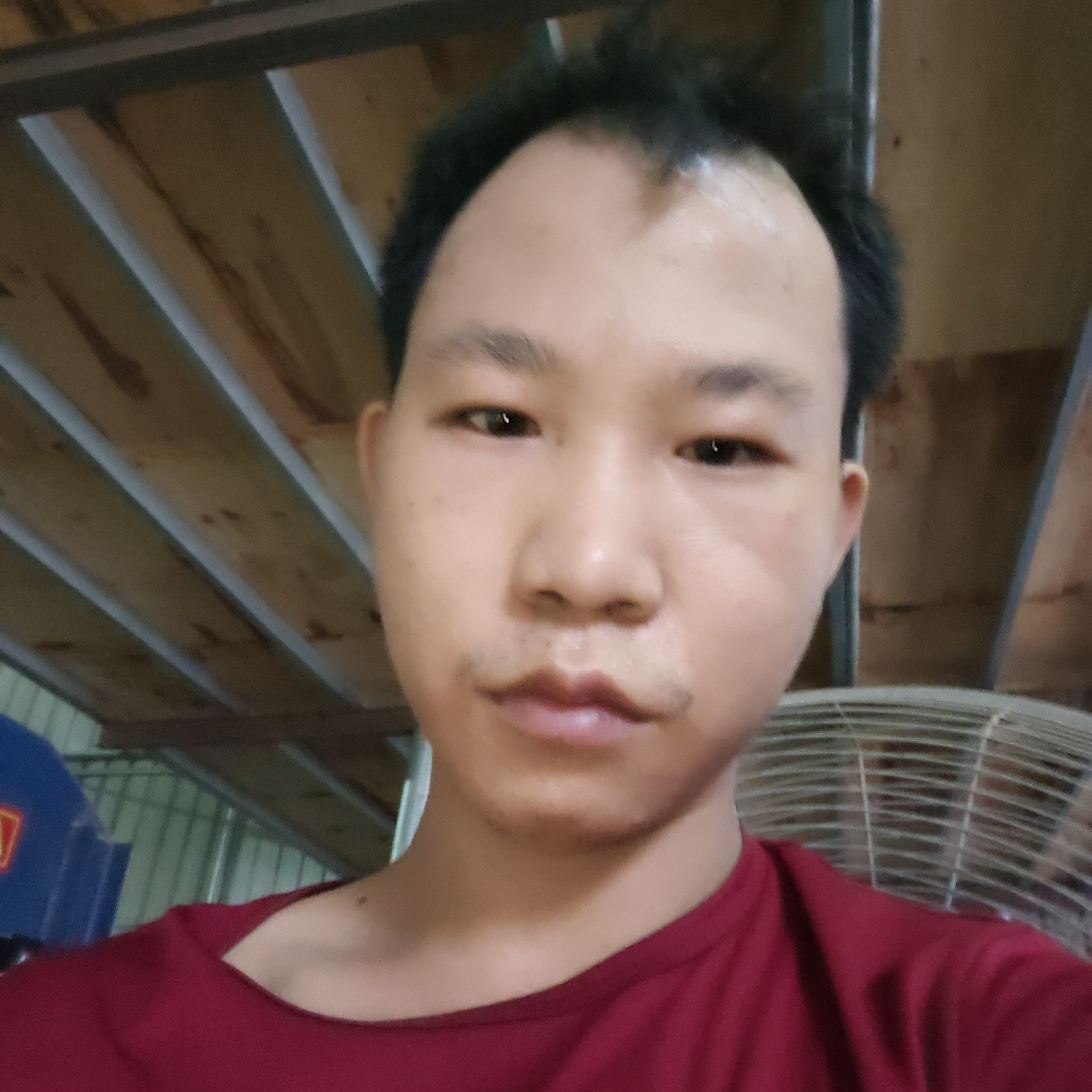 夏天相许传统的照片