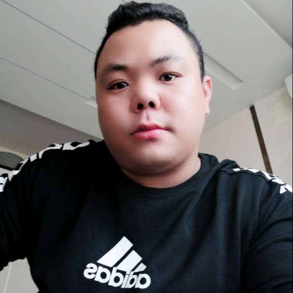 1辈子旳与树叶的照片