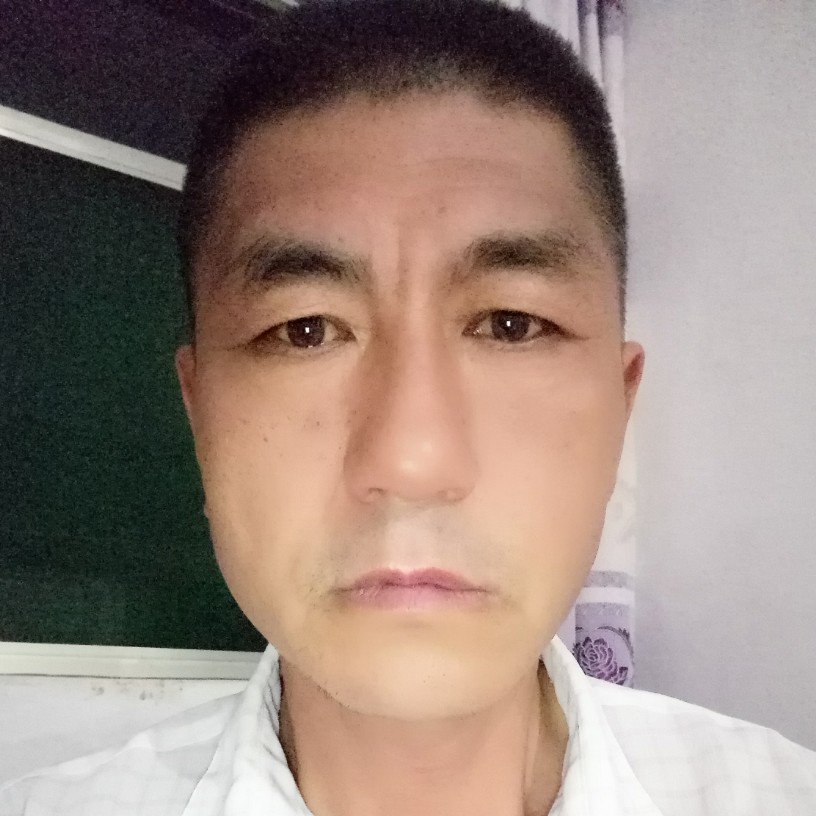 矮小蝶舞的照片