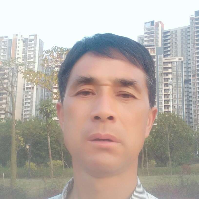 典雅冰淇淋的照片