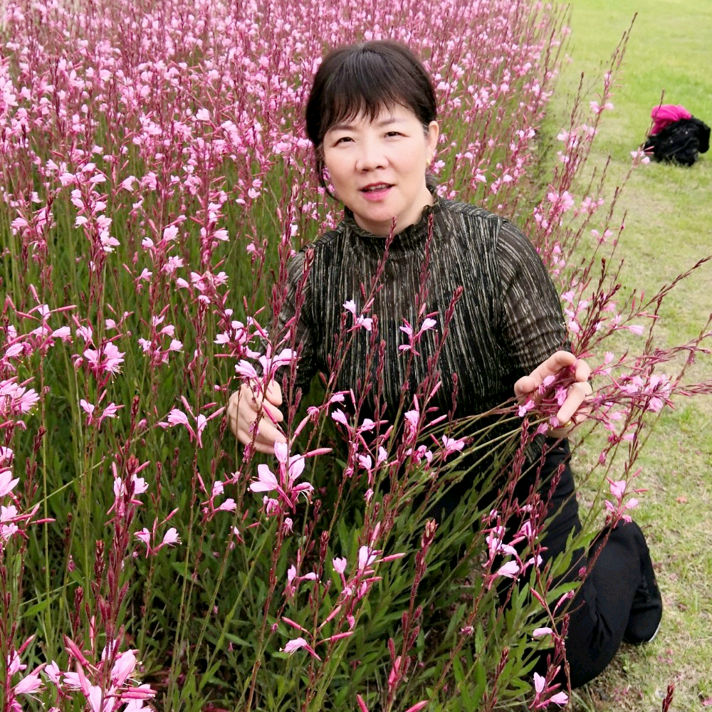 冷静爱恋高山的照片