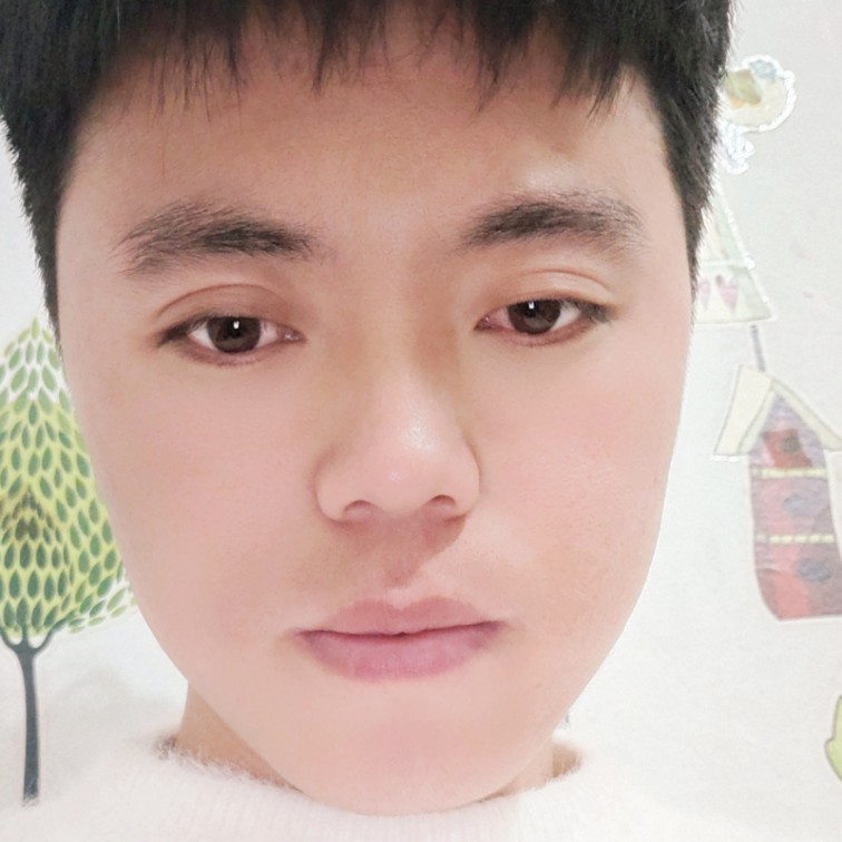 冰淇淋透彻的照片