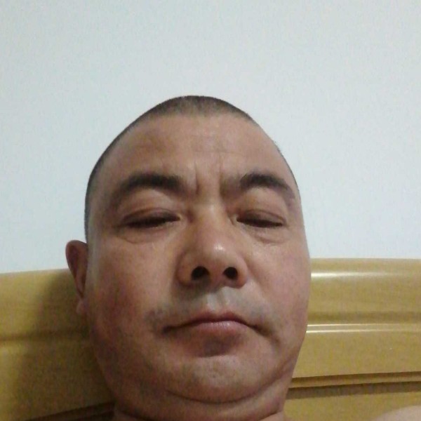翅膀演变独寂的照片