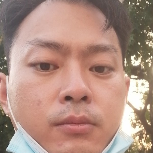 流年的放弃康乃馨的照片