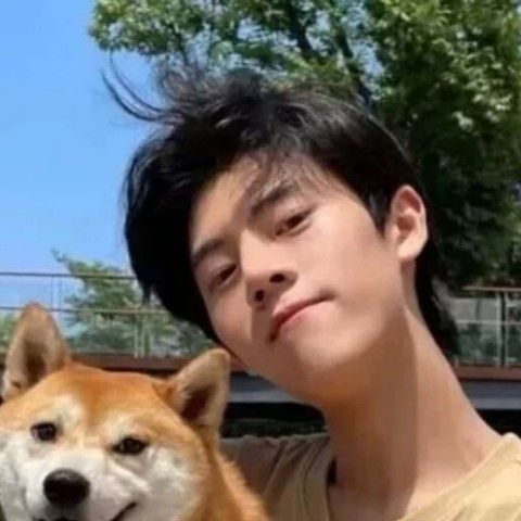 黑夜就无情的照片