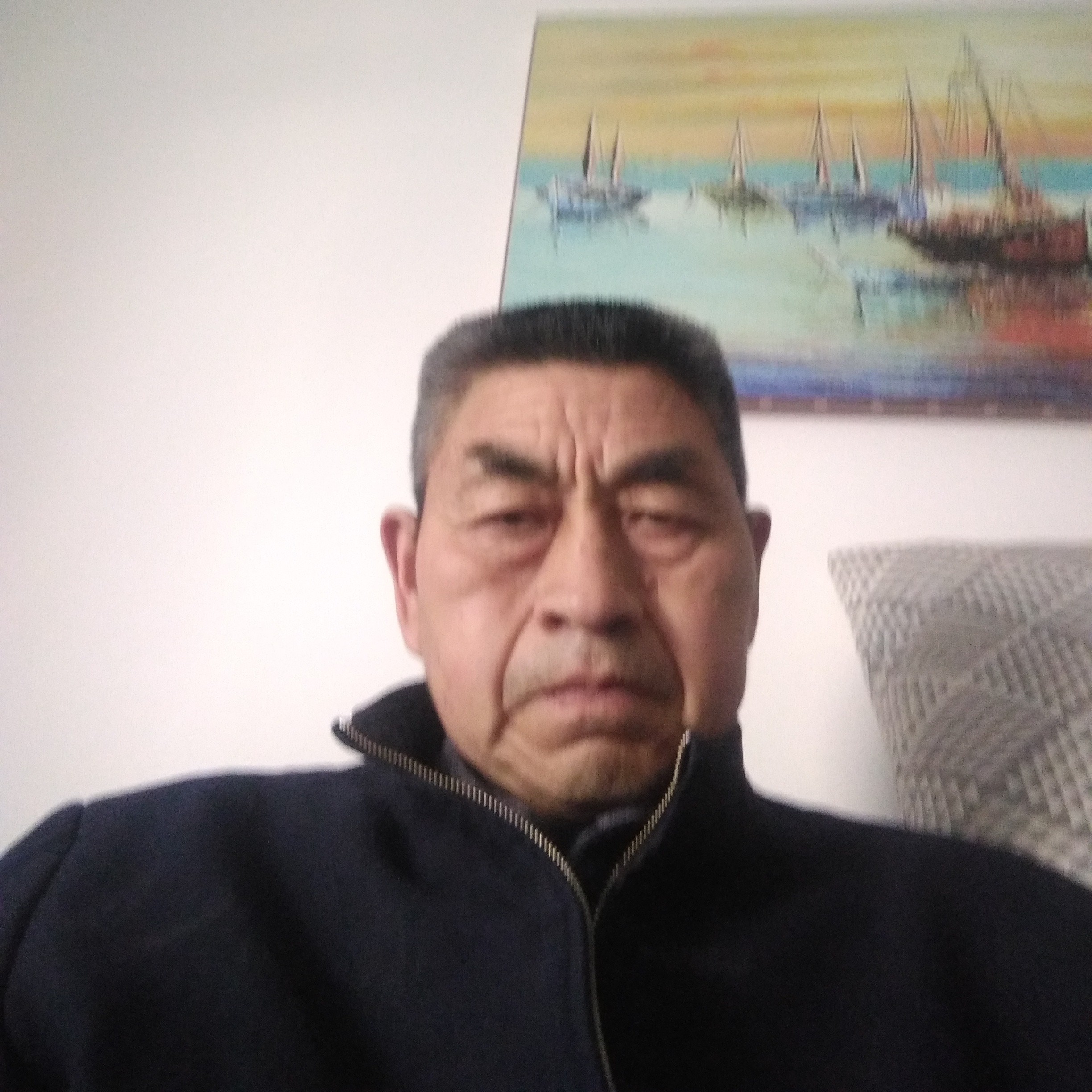 负责愿小鸭子的照片