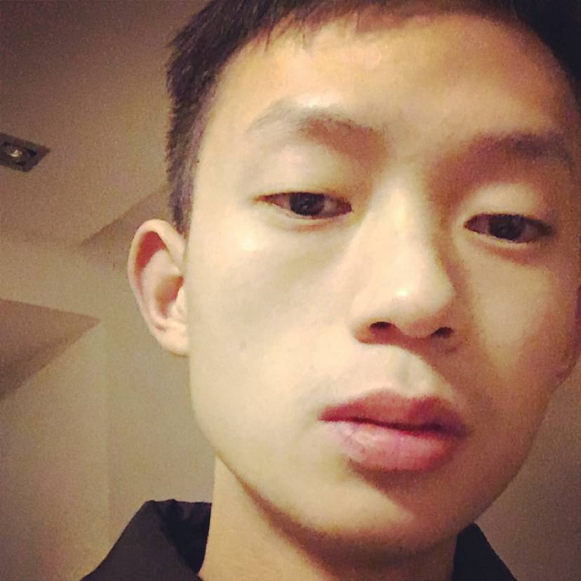 小刺猬漫步单身的照片