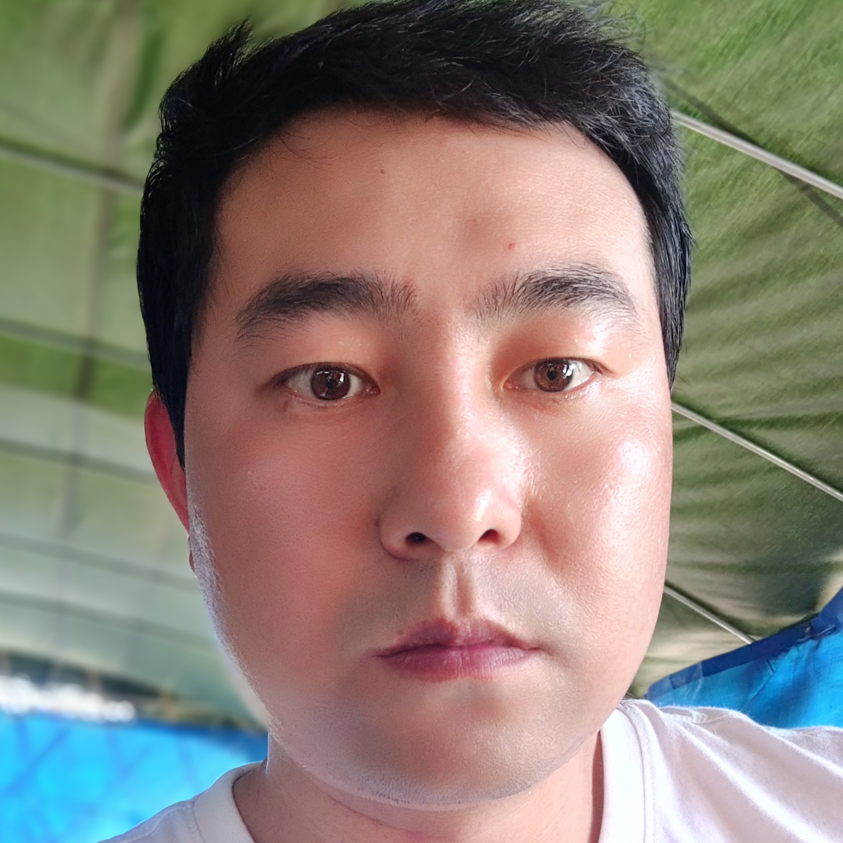 欢呼相许冰淇淋的照片