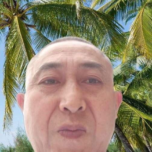 天天块乐的照片