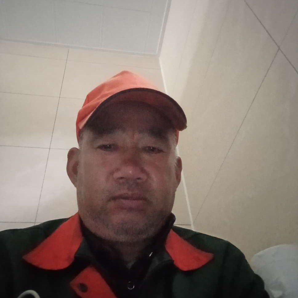 浪花中的小鱼儿的照片