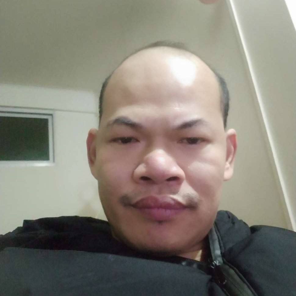 森林队友的照片