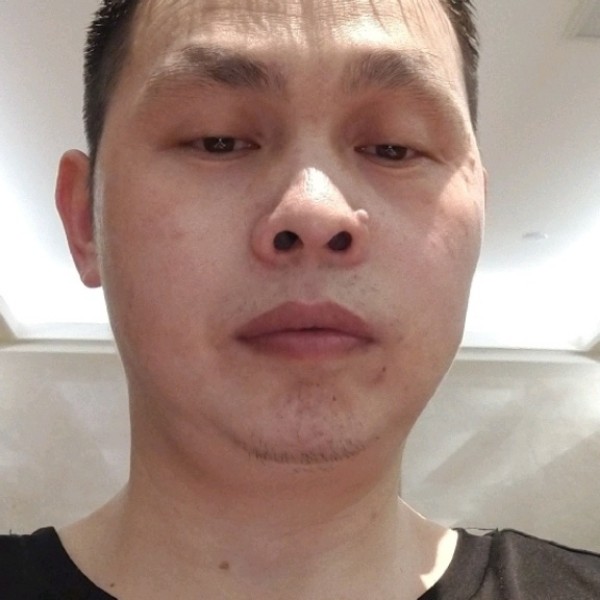 黑猫回眸勤劳的照片