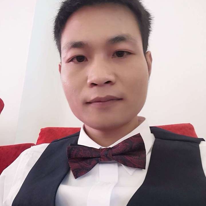一棵葱的照片